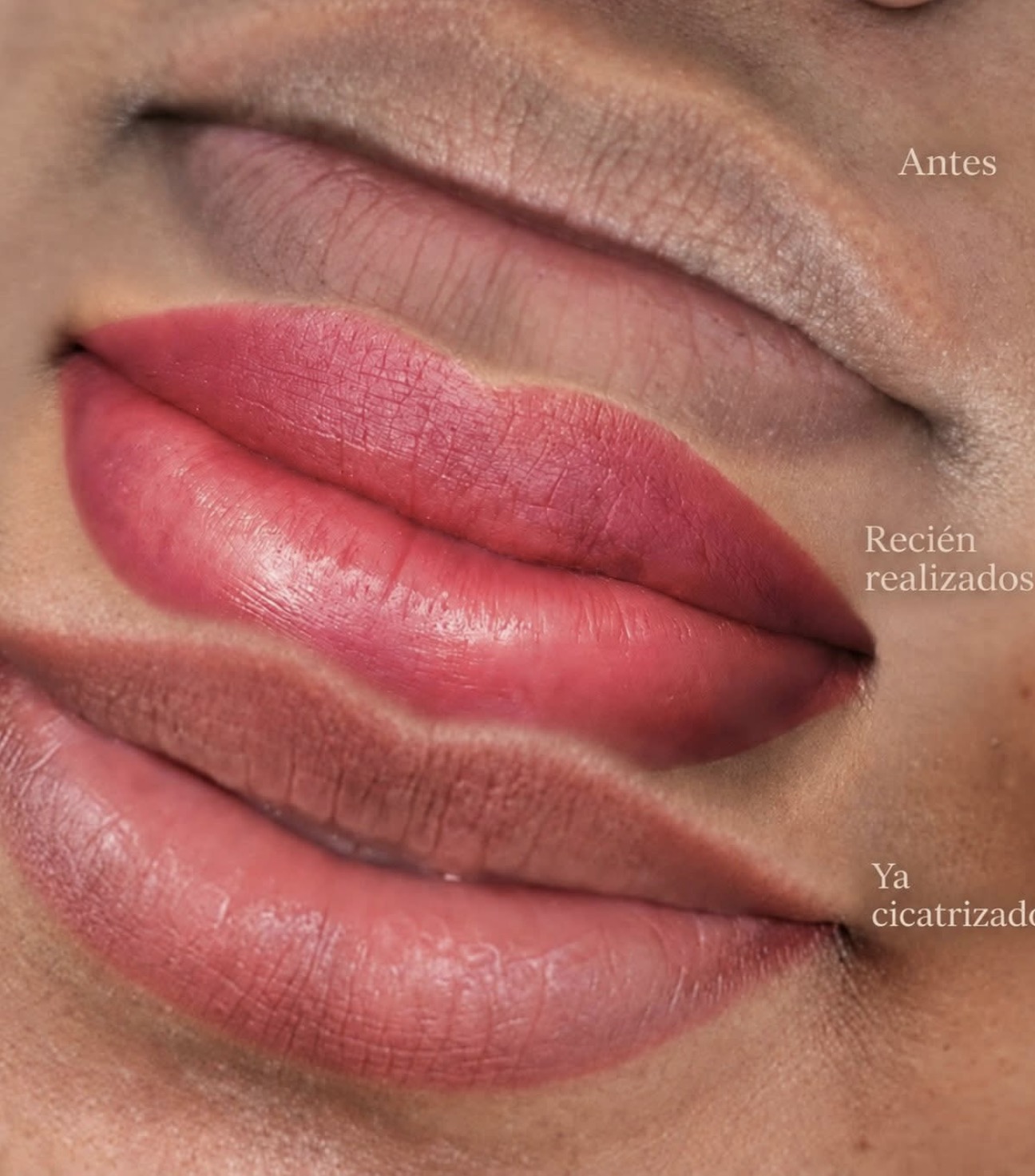 Color en labios — Aleja Studio